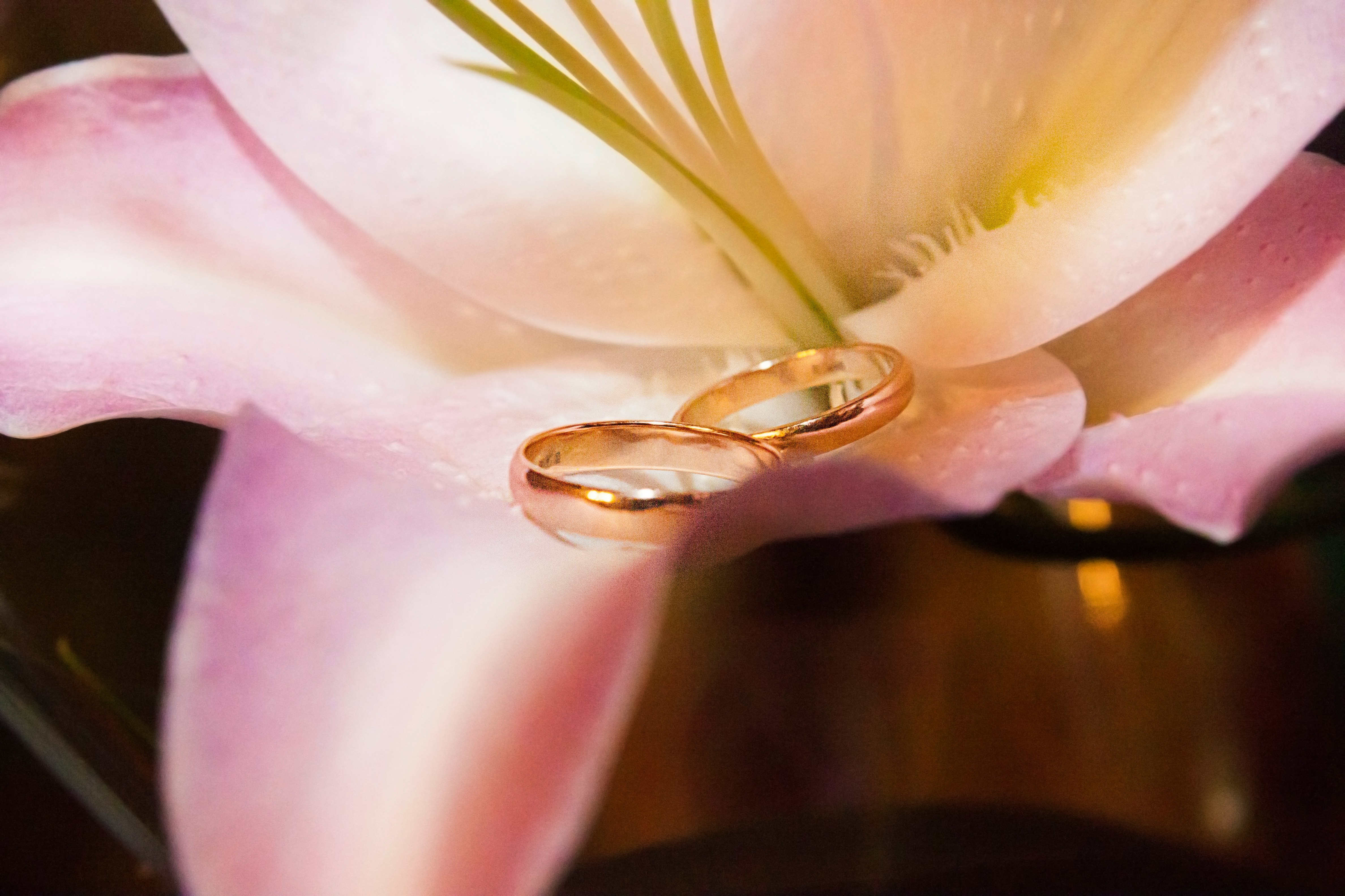gold wedding band on white and pink flower